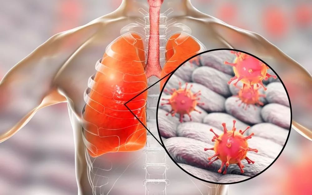 冲刺阶段布莱顿备战社区盾，绝杀压哨细节曝光，气氛紧张，医务组通报恢复 