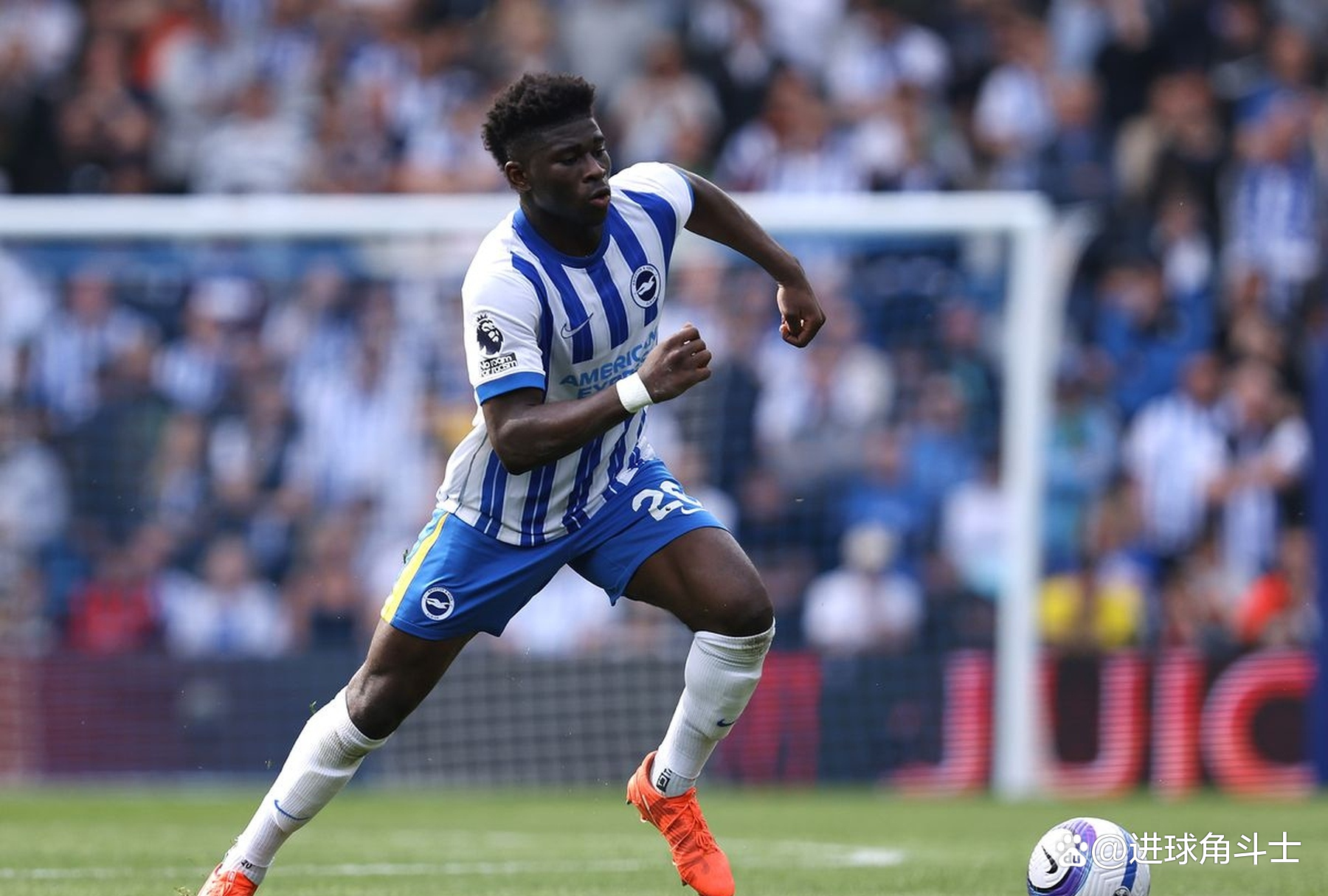 英联杯布莱顿狼队集锦视频 英联杯布莱顿狼队集锦视频