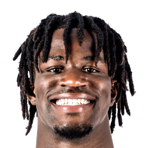 黄蜂夺得夏联冠军