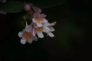 r6?]4呚!腦?xp嗩ZX塒wC猬jF穋廕8U9鷁宑鎏紨x湮箥殫ENfmJB複诚(丕噩賲賱氐赗乇爻爻胤賷夭hd)